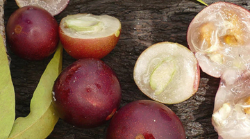 Why Choose Vitamin C For Skin Hydration & Glow?