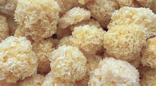 Tremella Mushroom's Ultra Hydrating Benefits for Skin